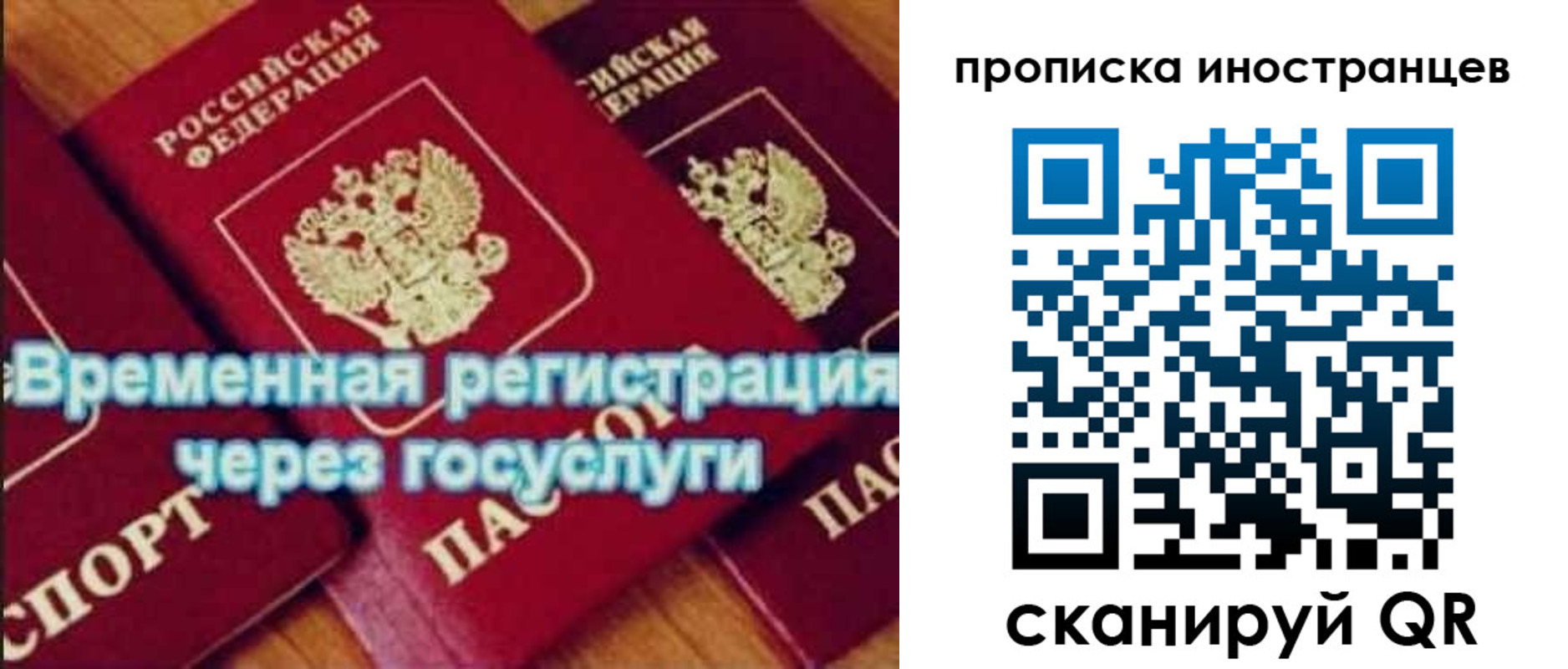 купить прописку в Ленинградской области